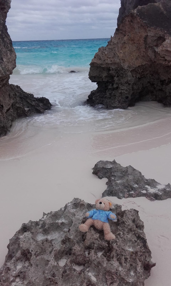 Bermuda - January 2019